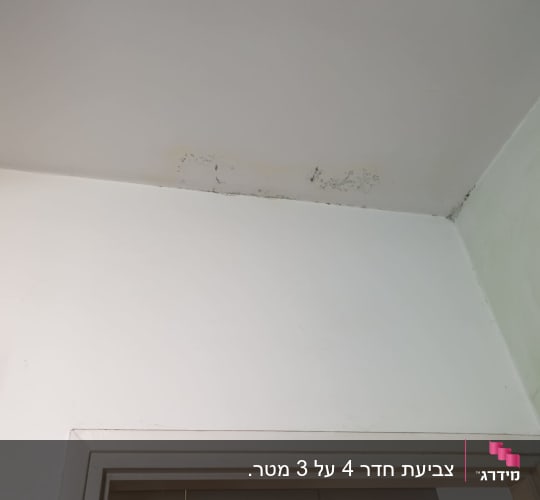סימני עובש ורטיבות בתקרה מעל משקוף דלת לפני טיפול וצביעה